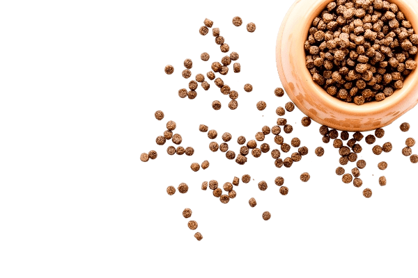 home1-pet-food