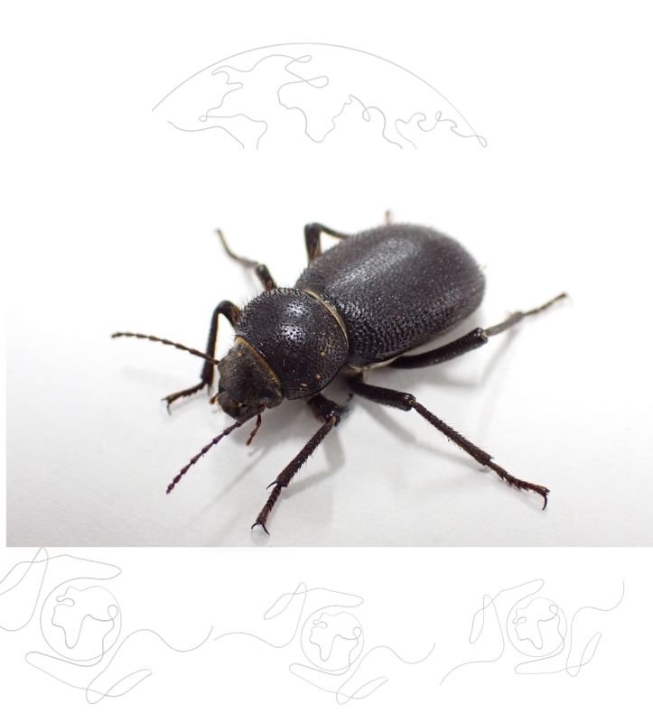 xr:d:DAFuDvfb8rE:63,j:1063254762392206583,t:23100710