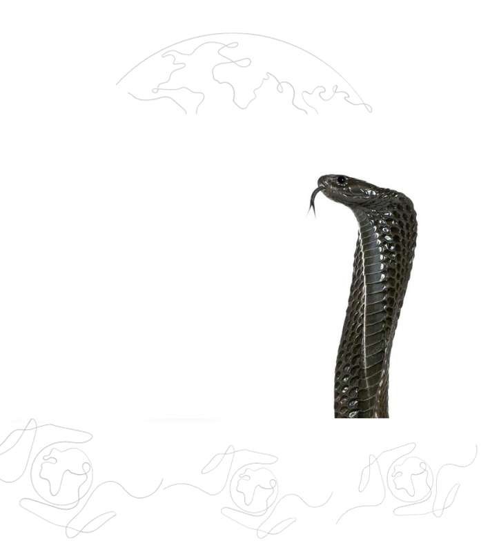 xr:d:DAFuDvfb8rE:54,j:1513614718476365633,t:23100709